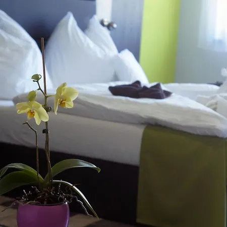 Bed & Breakfast Fitromax Sportpanzio Ajka
