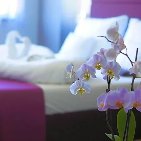 Fitromax Sportpanzio Bed and Breakfast Ajka