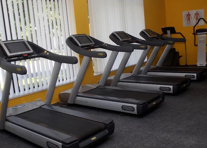 Fitromax Sportpanzio 4*